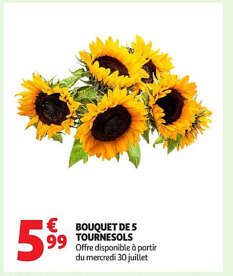 BOUQUET DE 5 TOURNESOLS