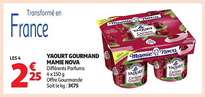 YAOURT GOURMAND MAMIE NOVA