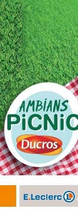 AMBIAINS PiCNiC Ducros