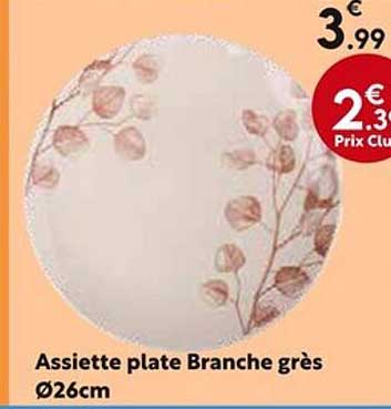 Assiette plate Branche grès Ø26cm
