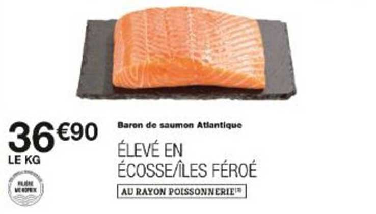 Baron de saumon Atlantique