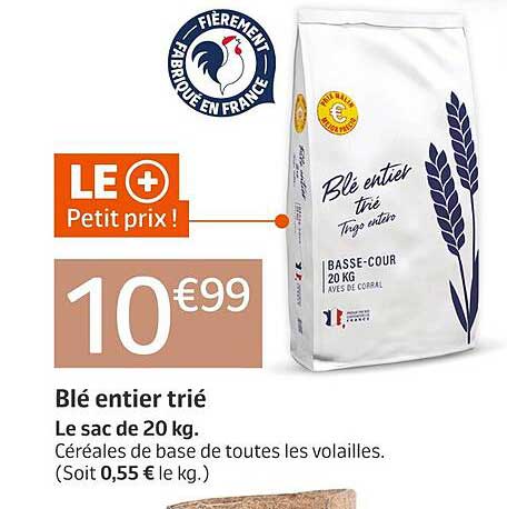 Blé entier trié