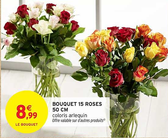 BOUQUET 15 ROSES 50 CM coloris arlequin