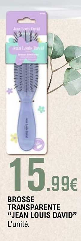 BROSSE TRANSPARENTE “JEAN LOUIS DAVID”