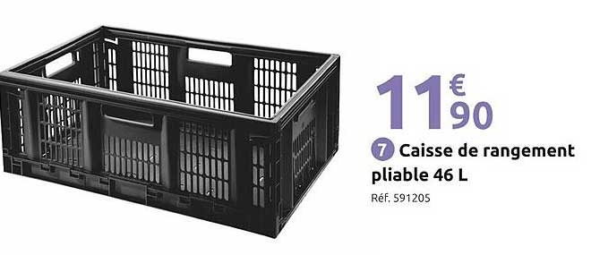 Caisse de rangement pliable 46 L