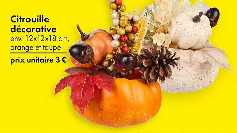Citrouille décorative