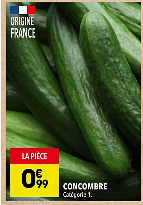CONCOMBRE