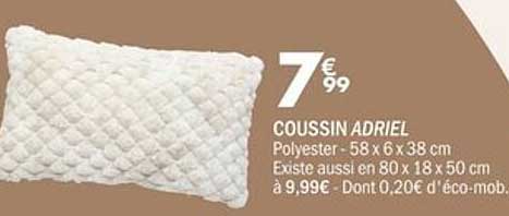 COUSSIN ADRIEL