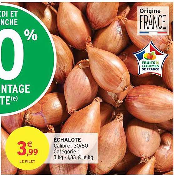 ÉCHALOTE