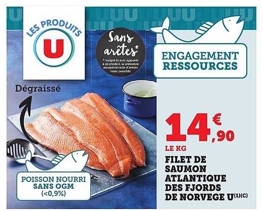 FILET DE SAUMON ATLANTIQUE DES FJORDS DE NORVEGE