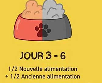 Jour 3 - 6