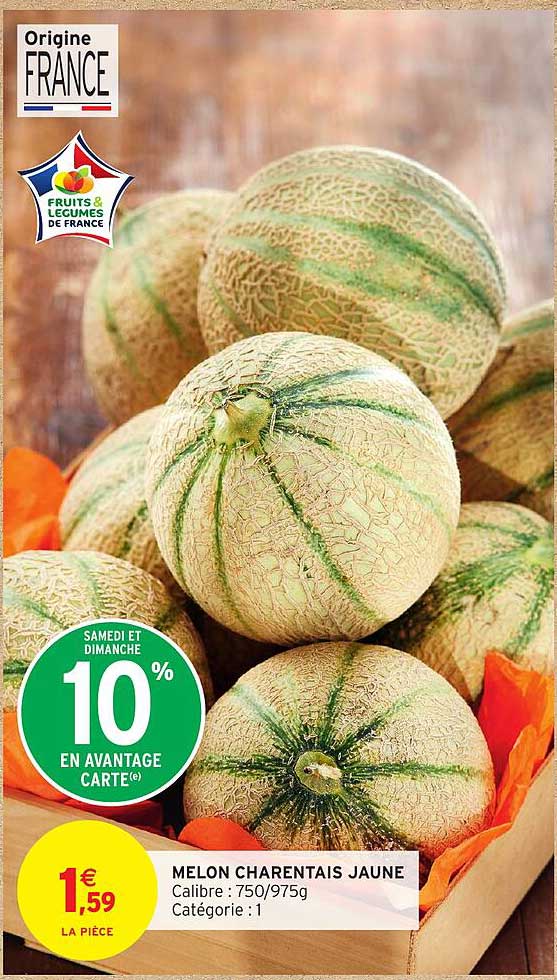 MELON CHARANTAIS JAUNE