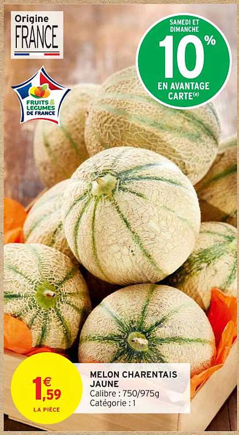 MELON CHARANTAIS JAUNE