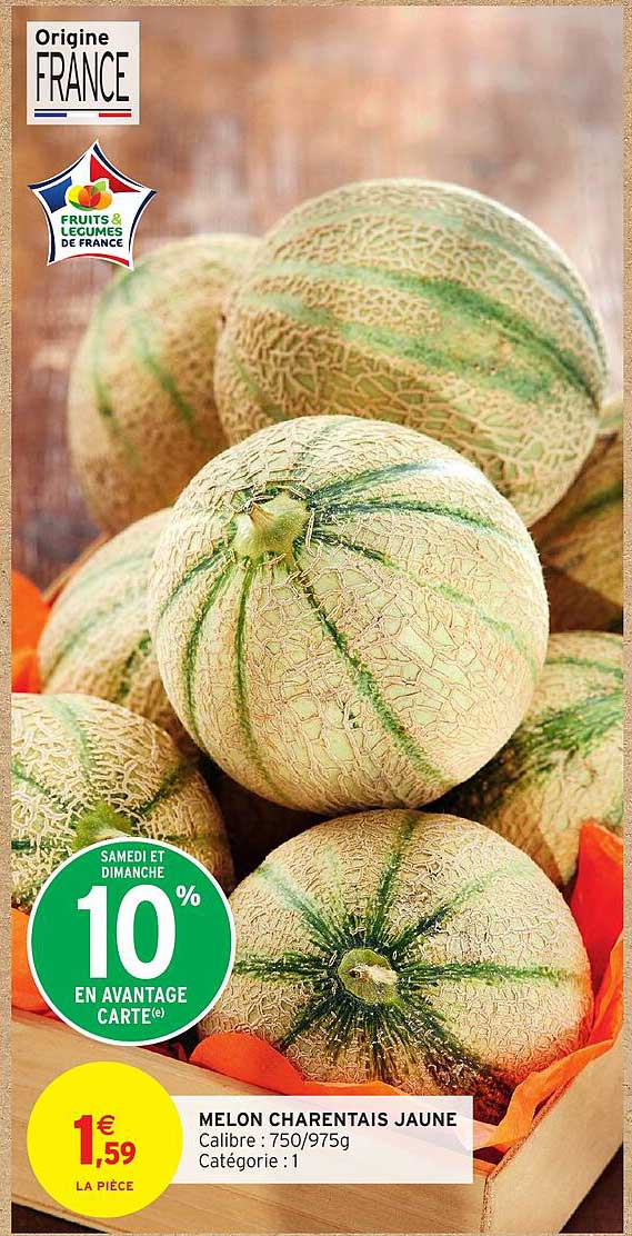 MELON CHARENTais JAUNE