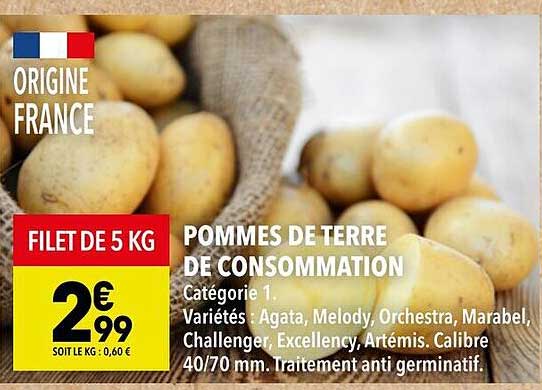 POMMES DE TERRE DE CONSOMMATION