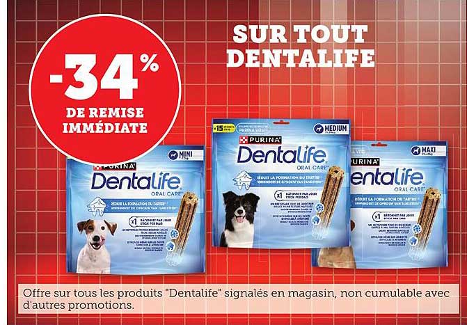 SUR TOUT DENTALIFE