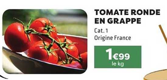 TOMATE RONDE EN GRAPPE