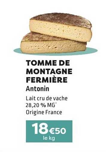 TOMME DE MONTAGNE FERMIÈRE