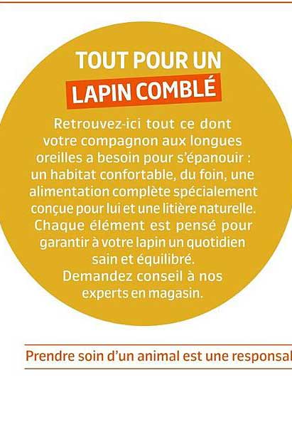 TOUT POUR UN LAPIN COMBLÉ