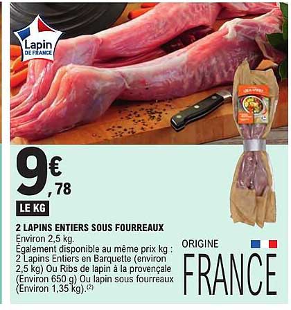 2 LAPINS ENTIERS SOUS FOURREAUX