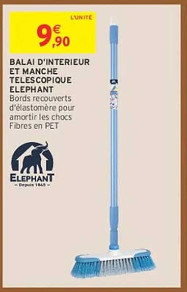 BALAI D'INTERIEUR ET MANCHE TELESCOPIQUE ELEPHANT