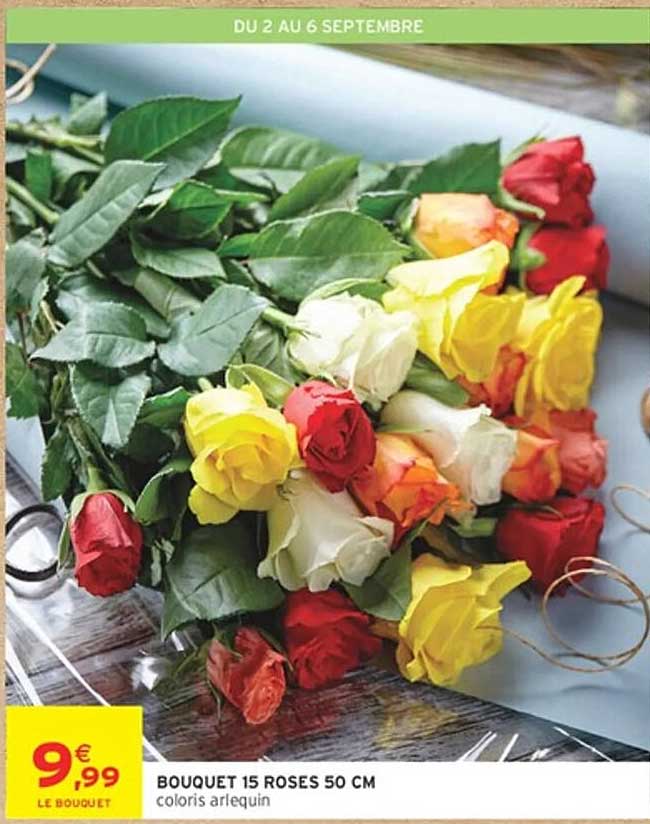 BOUQUET 15 ROSES 50 CM coloris arlequin
