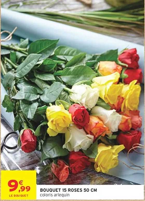 BOUQUET 15 ROSES 50 CM coloris arlequin