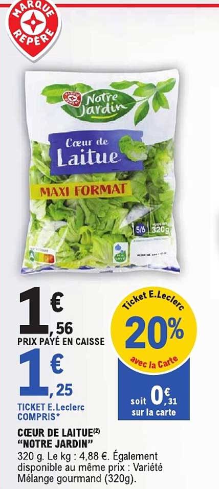 CŒUR DE LAITUE "NOTRE JARDIN"