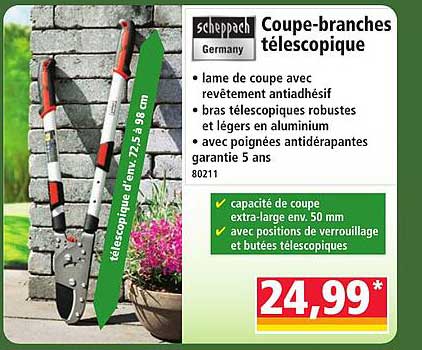 Coupe-branches télescopique
