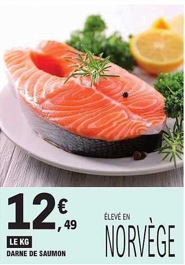 DARNE DE SAUMON