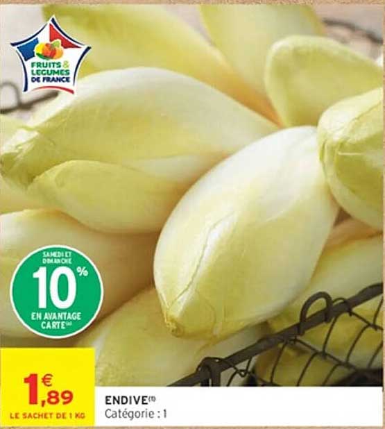 ENDIVE