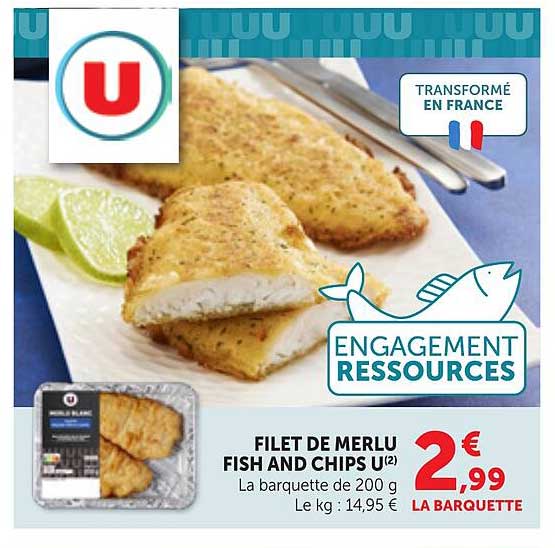 FILET DE MERLU FISH AND CHIPS U