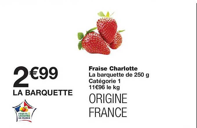 Fraise Charlotte