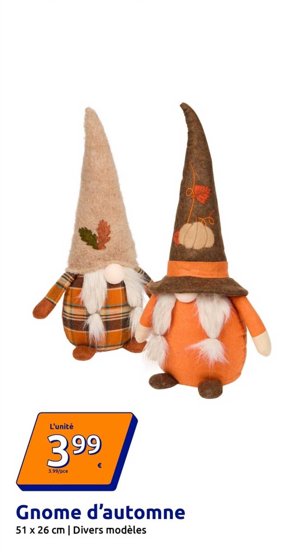 Gnome d’automne