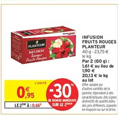 INFUSION FRUITS ROUGES PLANTEUR