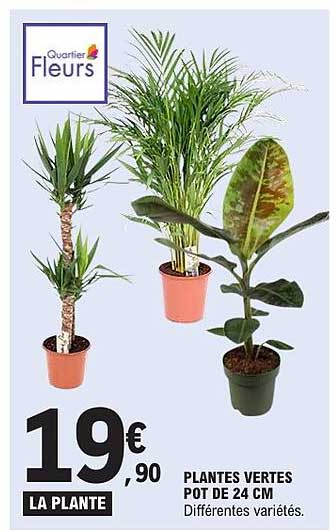 LA PLANTE