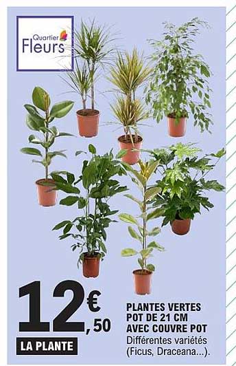 LA PLANTE