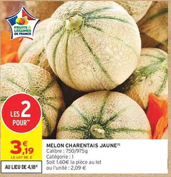 MELON CHARENTAIS JAUNE™