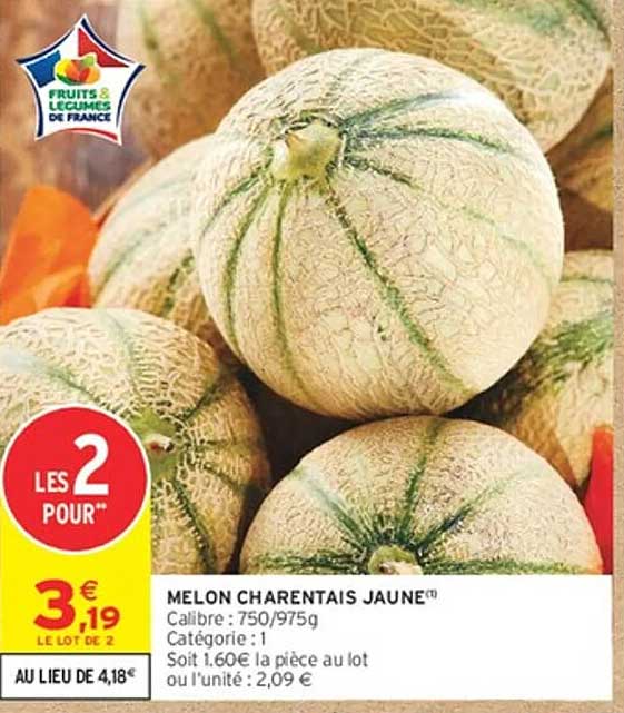 MELON CHARENTAIS JAUNE