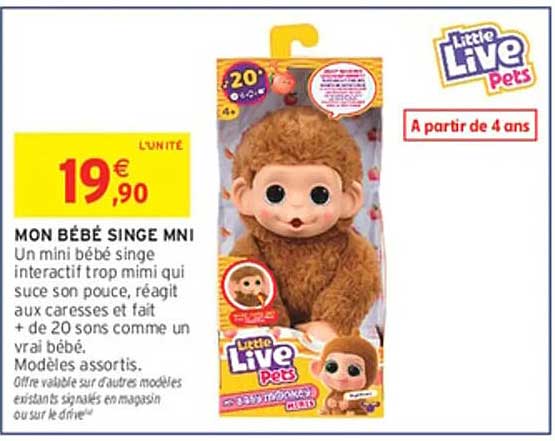 MON BÉBÉ SINGE MNI