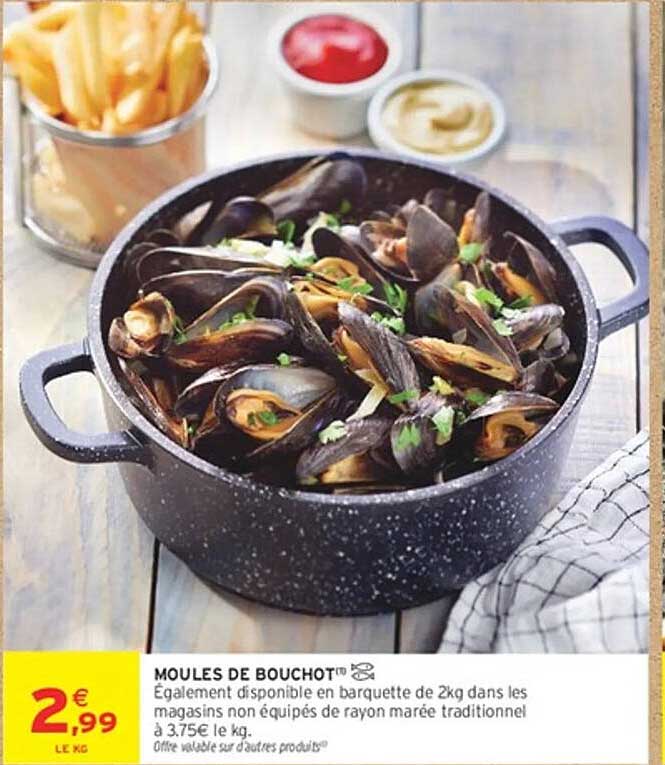 MOULES DE BOUCHOT