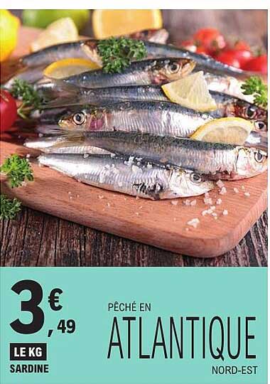 PÊCHÉ EN ATLANTIQUE NORD-EST SARDINE