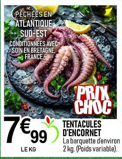 PÊCHÉES EN ATLANTIQUE SUD-EST CONDITIONNÉES AVEC SOIN EN BRETAGNE, FRANCE