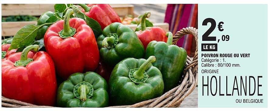 POIVRON ROUGE OU VERT