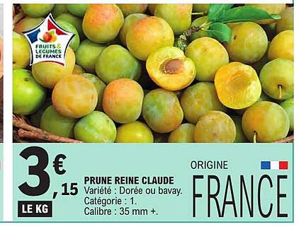 PRUNE REINE CLAUDE