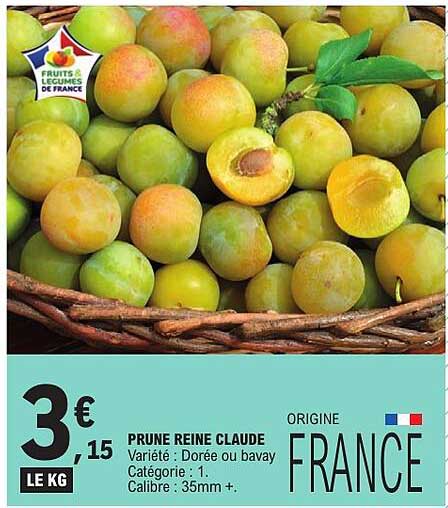 PRUNE REINE CLAUDE