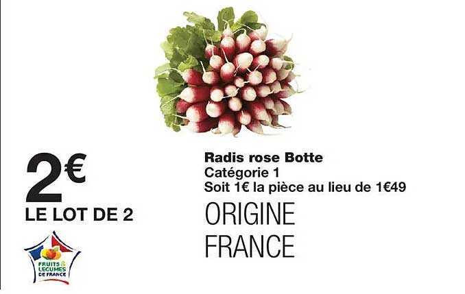 Radis rose Botte