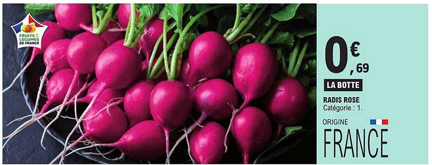 RADIS ROSE
