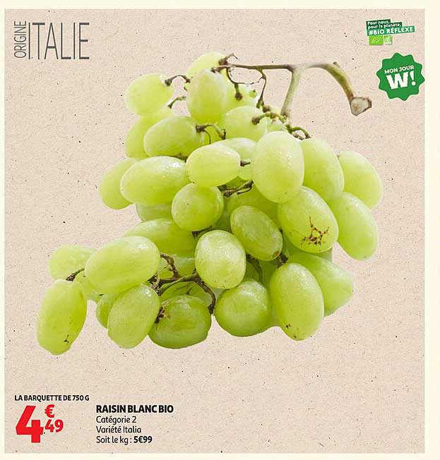 RAISIN BLANC BIO