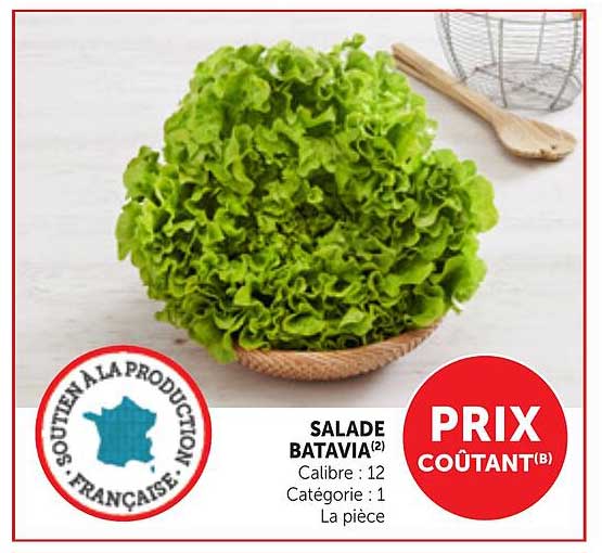 SALADE BATAVIA